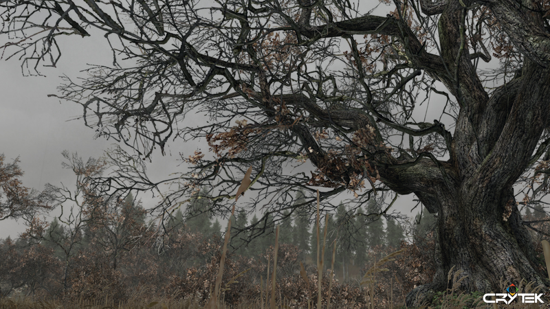 Illustration for article titled Cancelled Crytek Game Looked More Alan Wake Than Crysis